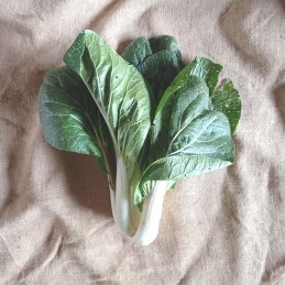 Chou bok choy