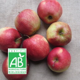 Pommes Braeburn