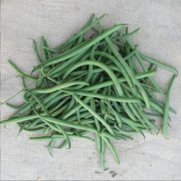 1kg Haricots verts...