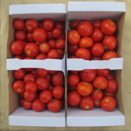 Tomates 10kg